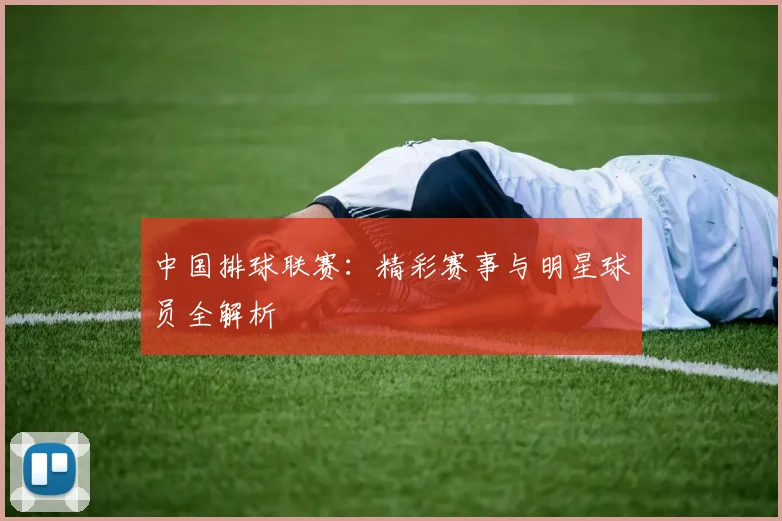 中国排球联赛：精彩赛事与明星球员全解析
