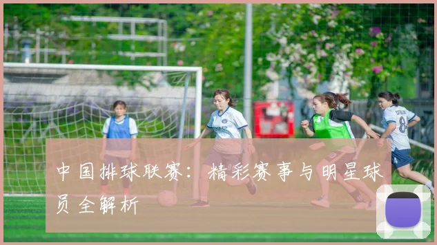 中国排球联赛：精彩赛事与明星球员全解析